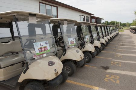 carts morning 2.jpg